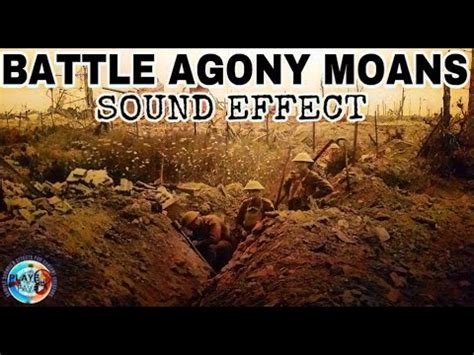 moan sound download|Moaning Sound Effects: Royalty